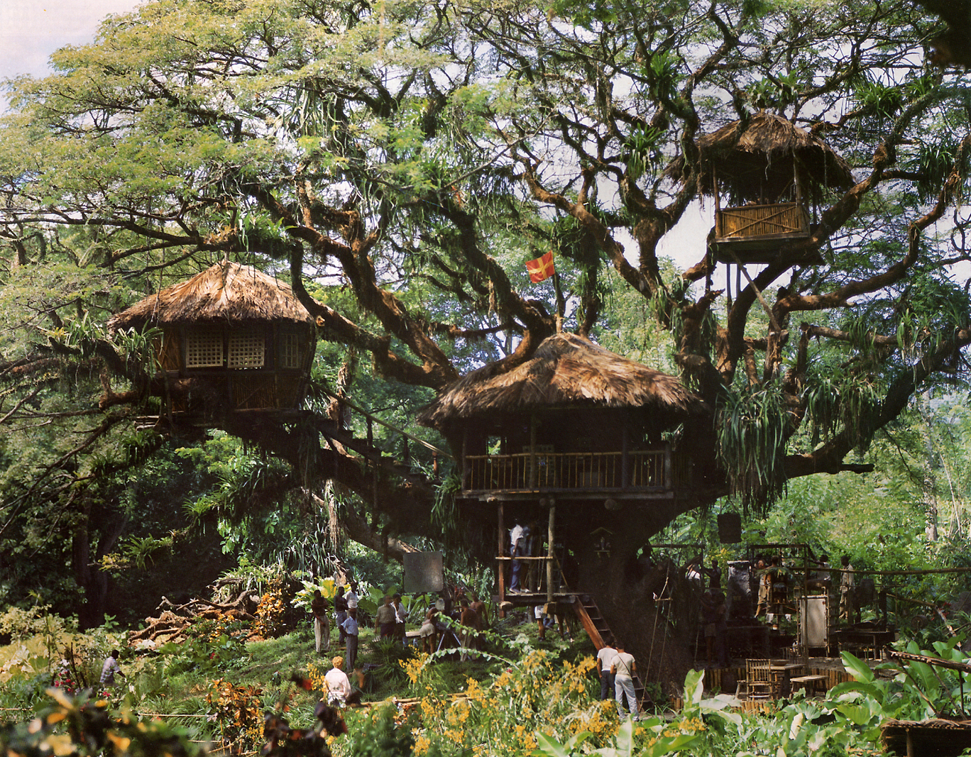 Read more about the article A Synopsis – The Swiss Family Robinson